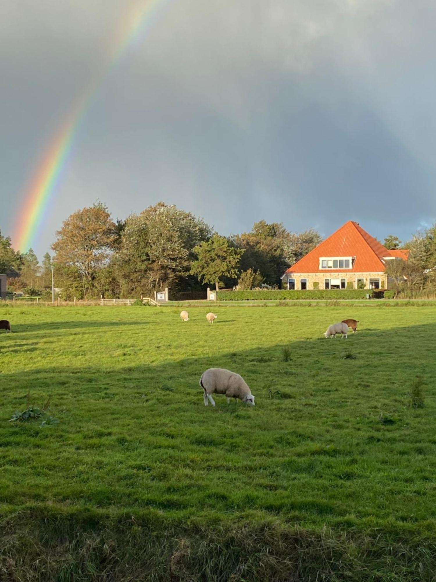 Oomes Huus Haestens And Koffie Den Hoorn (North Holland)