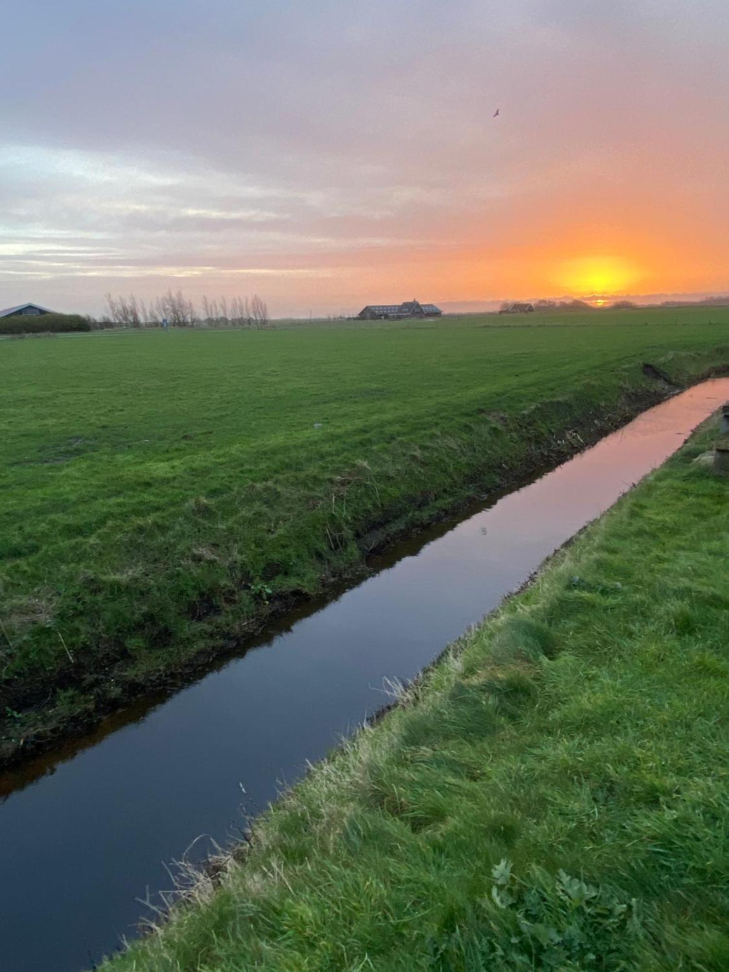 Oomes Huus Haestens And Koffie * Den Hoorn (North Holland)