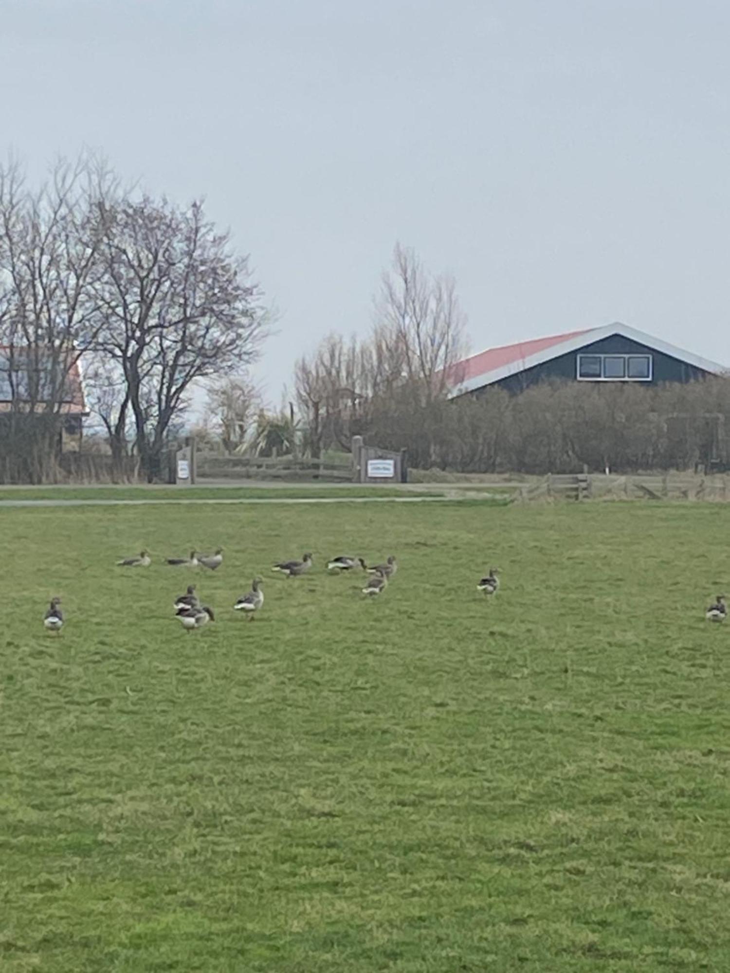 Oomeshuus Den Hoorn (North Holland)